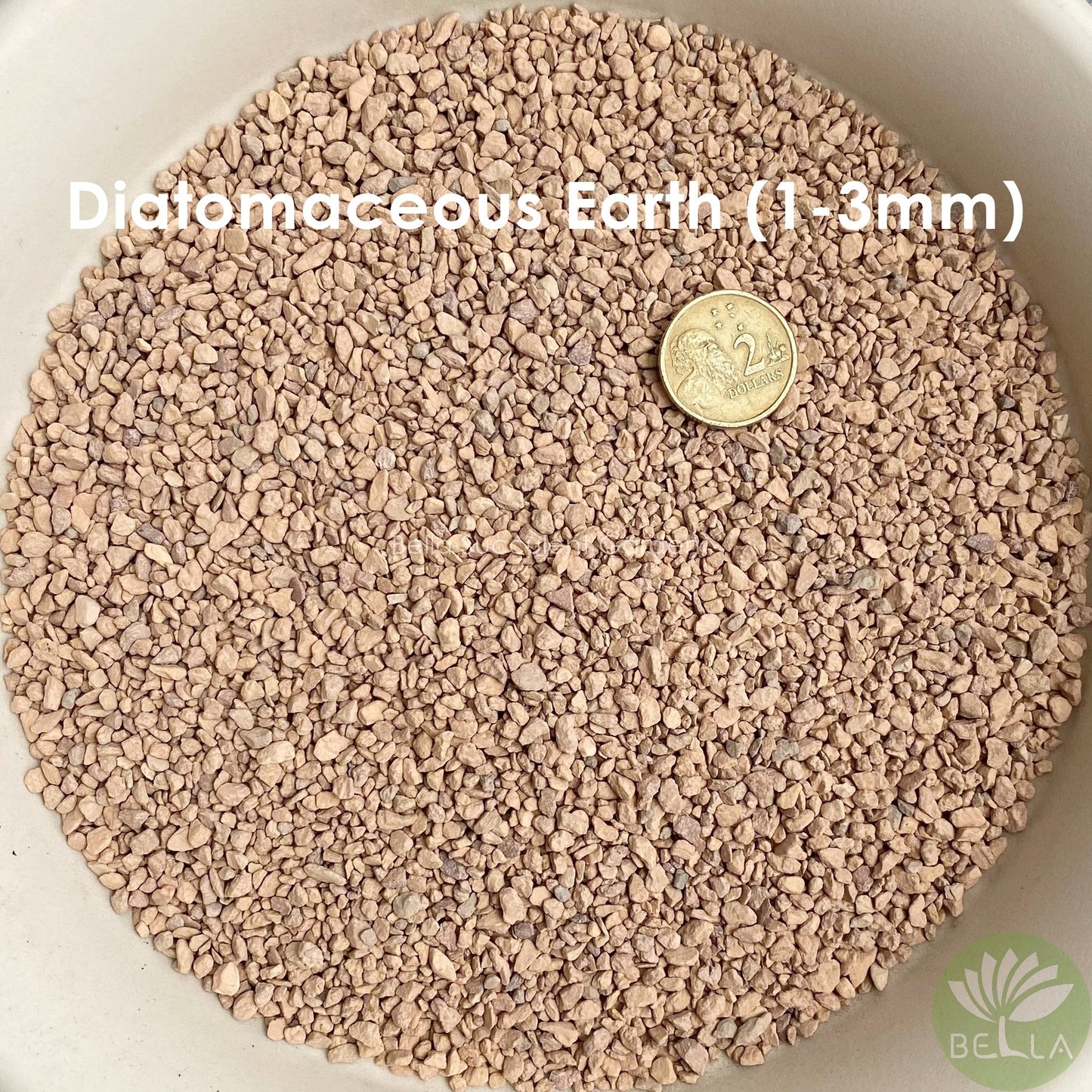 硅藻土 (Diatomaceous Earth)