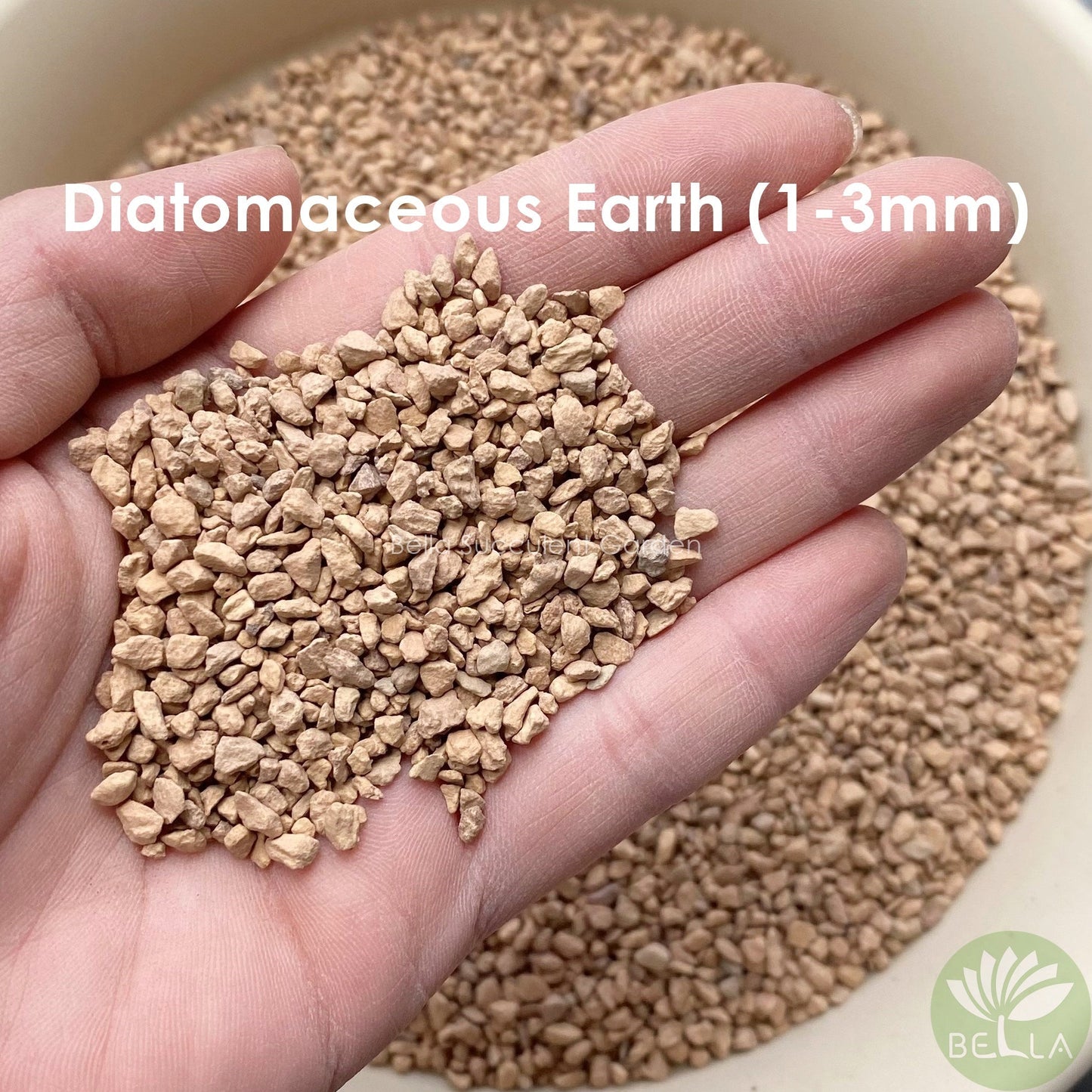 硅藻土 (Diatomaceous Earth)