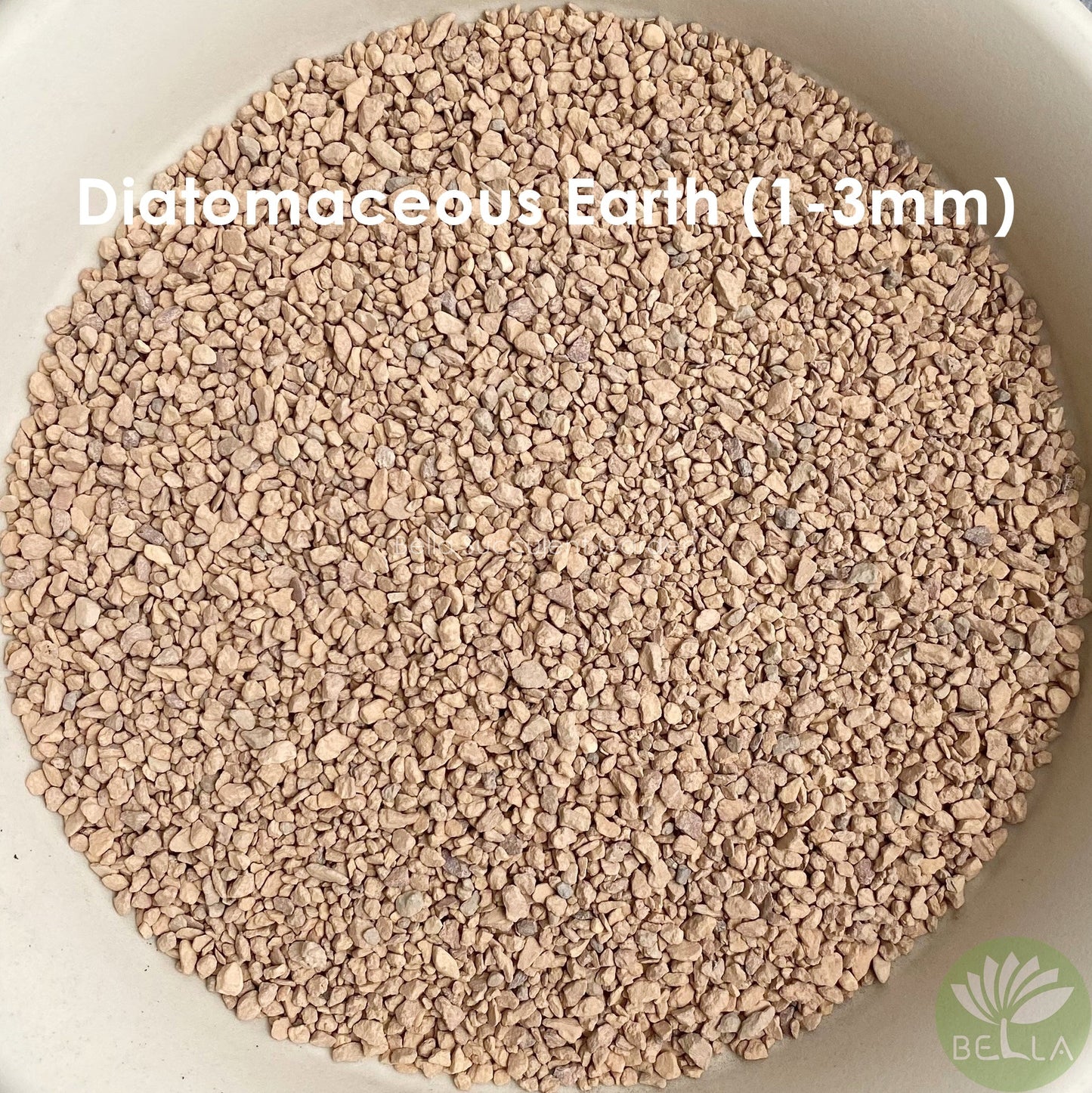 硅藻土 (Diatomaceous Earth)
