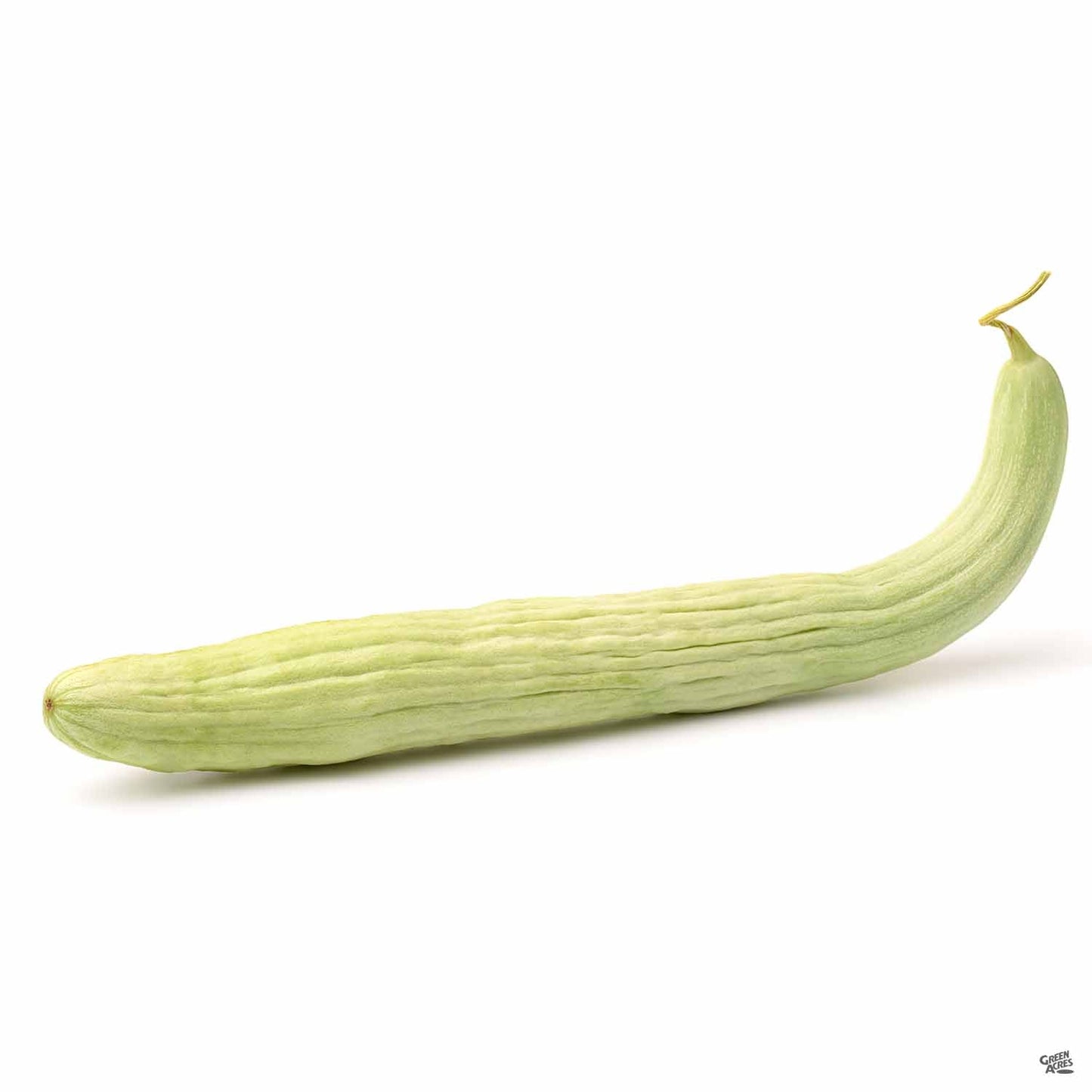 Cucumber 'Armenian'