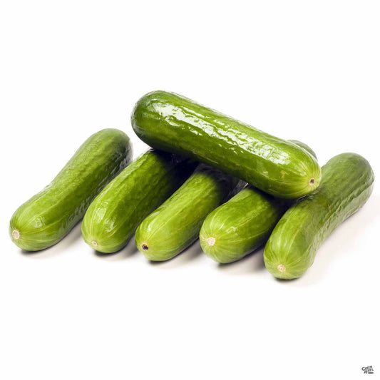 Cucumber 'Persian'