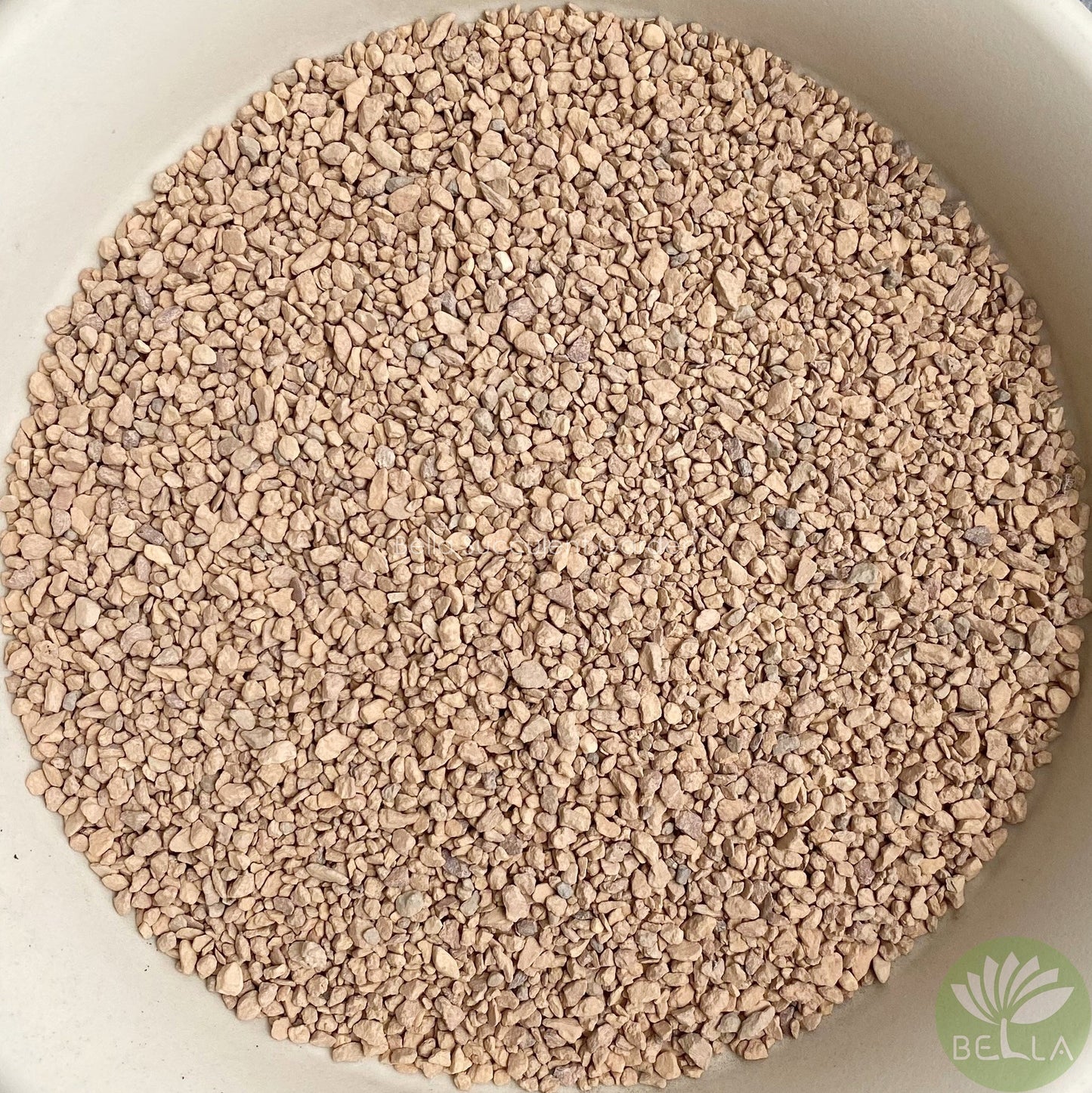 硅藻土 (Diatomaceous Earth)
