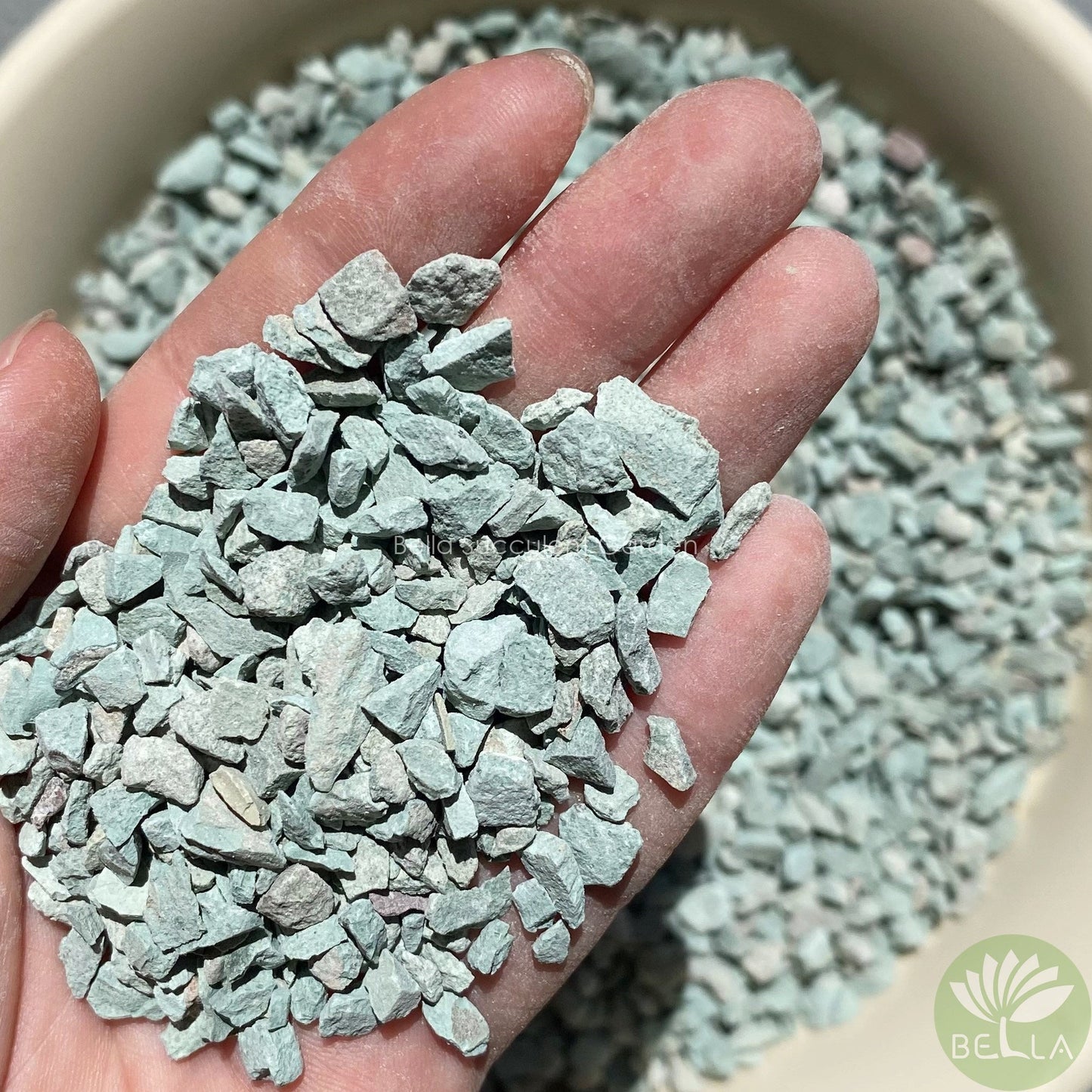 緑沸石 (Green Zeolite)