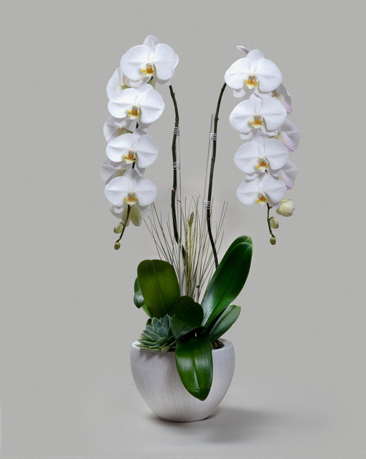 DOUBLE WHITE CRYSTAL