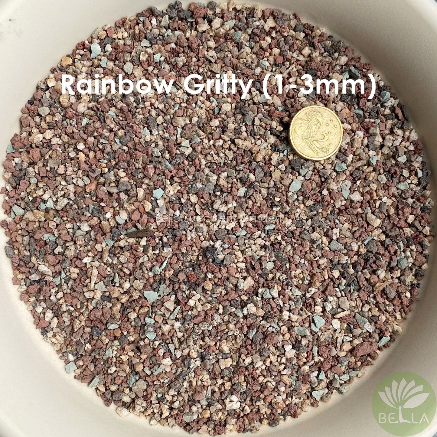彩虹石 (Rainbow Gritty)